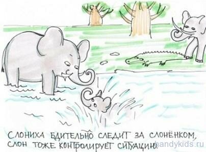 elefants family Семейные ценности