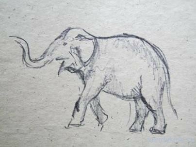 handykids elefant 003 Рисунок слон