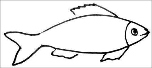 Fish coloring picture