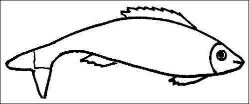 Fish coloring sheet